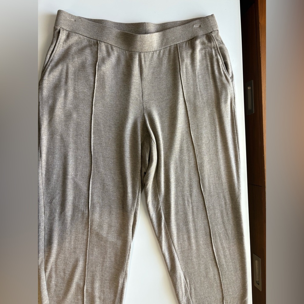 J. Jill Women Pure Tranquility Fleece Lined taupe Pants XL petite